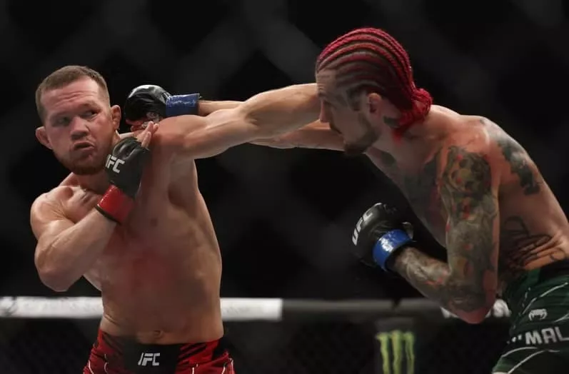 Топурия уверен, что О’Мэлли победит Петра Яна | СТАВКА ТВ