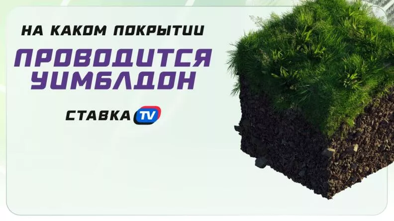 На каком покрытии проводится Уимблдон? | СТАВКА ТВ